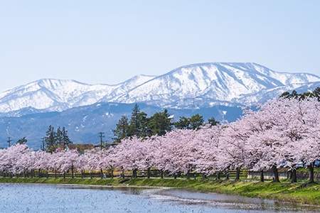 「新潟県」