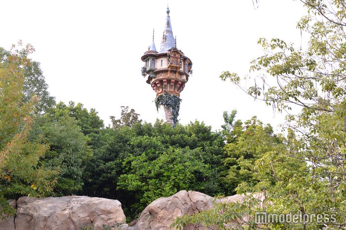 『塔の上のラプンツェル』の世界観を再現した休憩エリア(C)モデルプレス(C)Disney