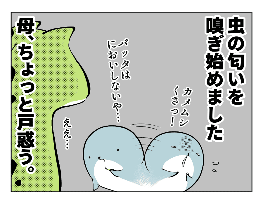 子どもの探求心1 虫好きの息子 今年も新しい研究が始まる ママと愉快な子どもたち102話 モデルプレス