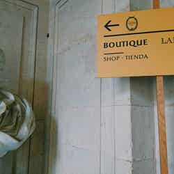 ヴェルサイユ宮殿内のラデュレ/画像提供:所属事務所