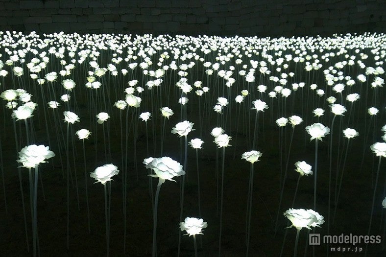 ／画像提供：韓国観光公社