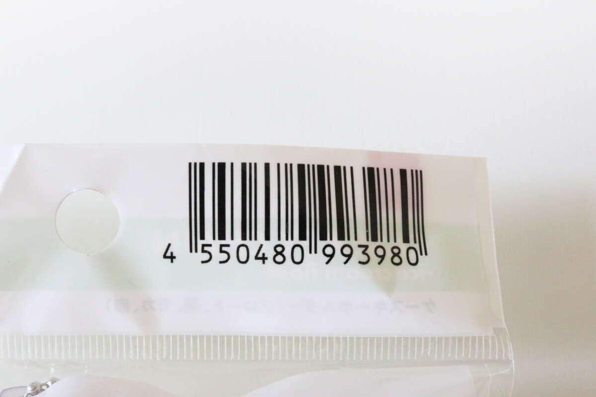 ダイソーのケースキーホルダー