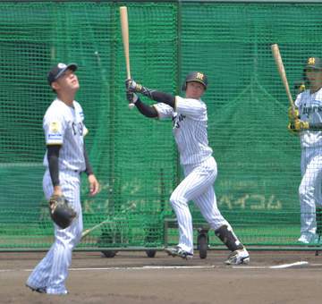 阪神・近本 復活へまた一歩 2度目シート打撃で安打性1本 北川コーチ「普通に振れてるんで大丈夫」