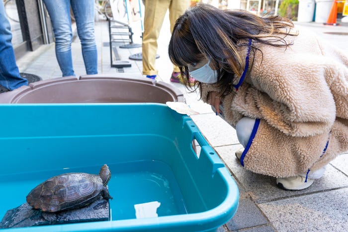 あいみょん(C)カンテレ