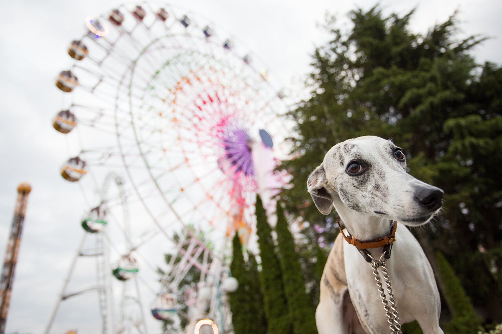 富士急わんランド／画像提供：富士急行