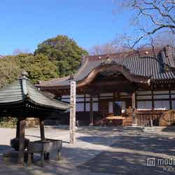 実際のカップルにも人気の「深大寺」