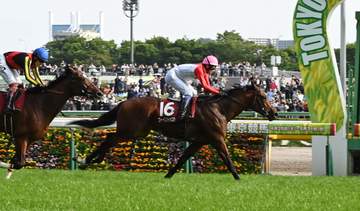 【青葉賞】武豊騎乗の4番人気ゴーイントゥスカイが重賞初制覇でダービー切符 武豊「同じ距離でこのパフォーマンス。いいタイムだし楽しめると思う」 コントレイル産駒重賞初V