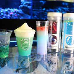 NAKED SNOW AQUARIUM/画像提供:横浜八景島