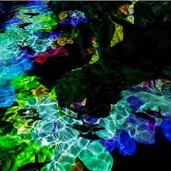 プロジェクションマッピングの中を ペンギンたちが泳ぐようす/画像提供:すみだ水族館