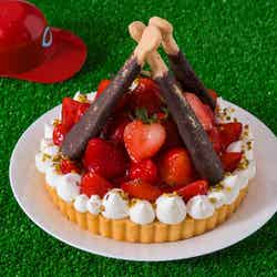 ストロベリー・カープ・ロード 勝鯉への道/提供素材