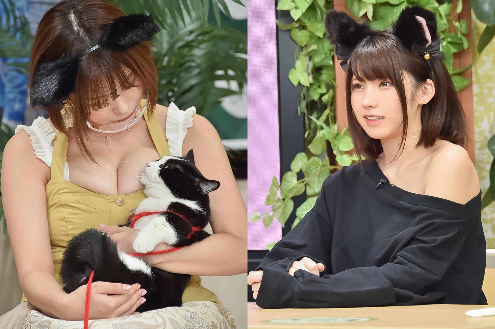 えなこ×さらば森田の“猫特化型バラエティ” 直前SPに和地つかさ出演で存在感発揮＜猫しか勝たん＞ - モデルプレス