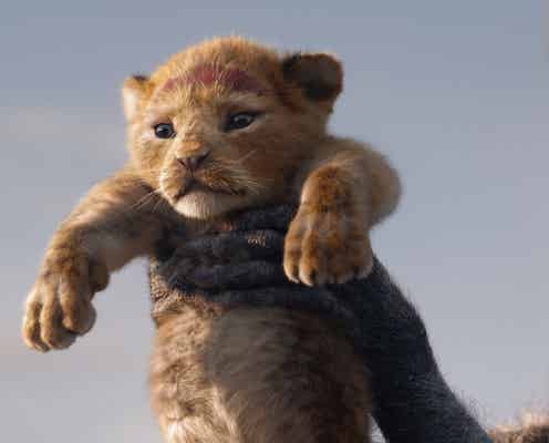 ディズニー“超実写版”「ライオン・キング」日本公開日決定 子シンバ“もふもふ”ショットも