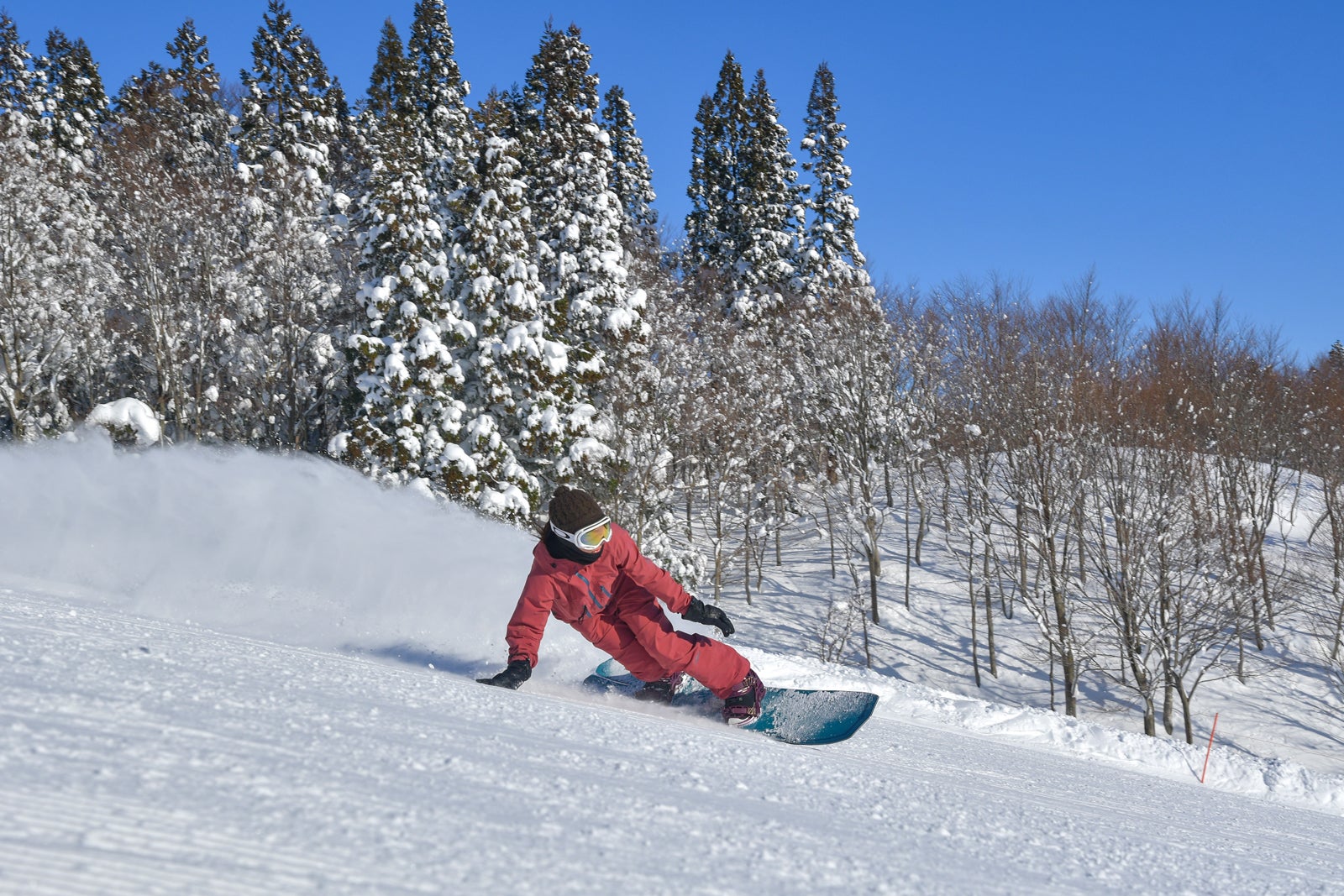 初心者から上級者まで楽しめる（提供画像）