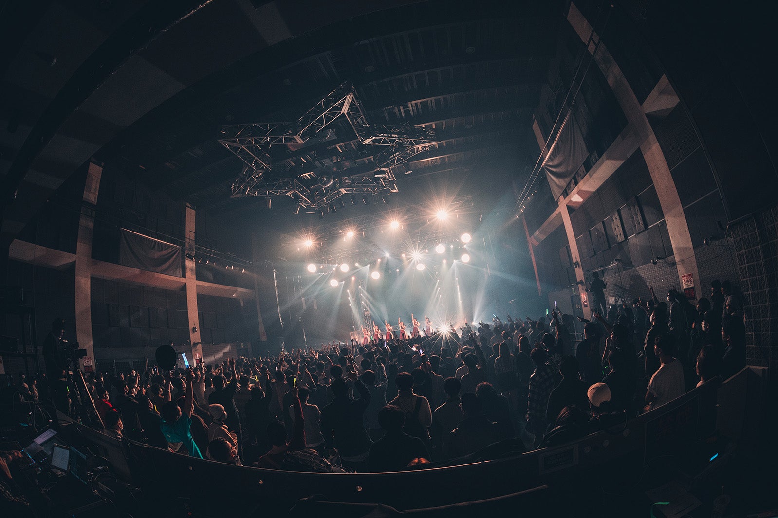 かすみ草とステラ／撮影：真島洸 （提供写真）