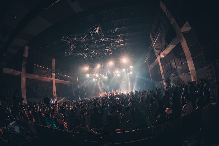 かすみ草とステラ/撮影:真島洸 (提供写真)