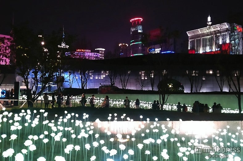 ／画像提供：韓国観光公社