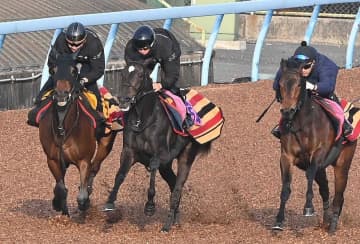 【フラワーC】イクシード 初重賞舞台で良血開花へ 太田助手「能力はある」イクイノックスの半妹