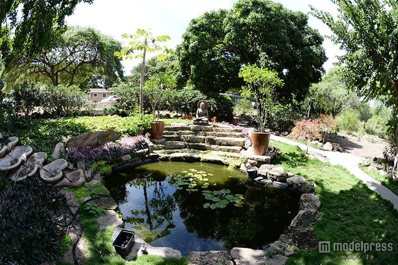 カフマナ・オーガニック・ファーム