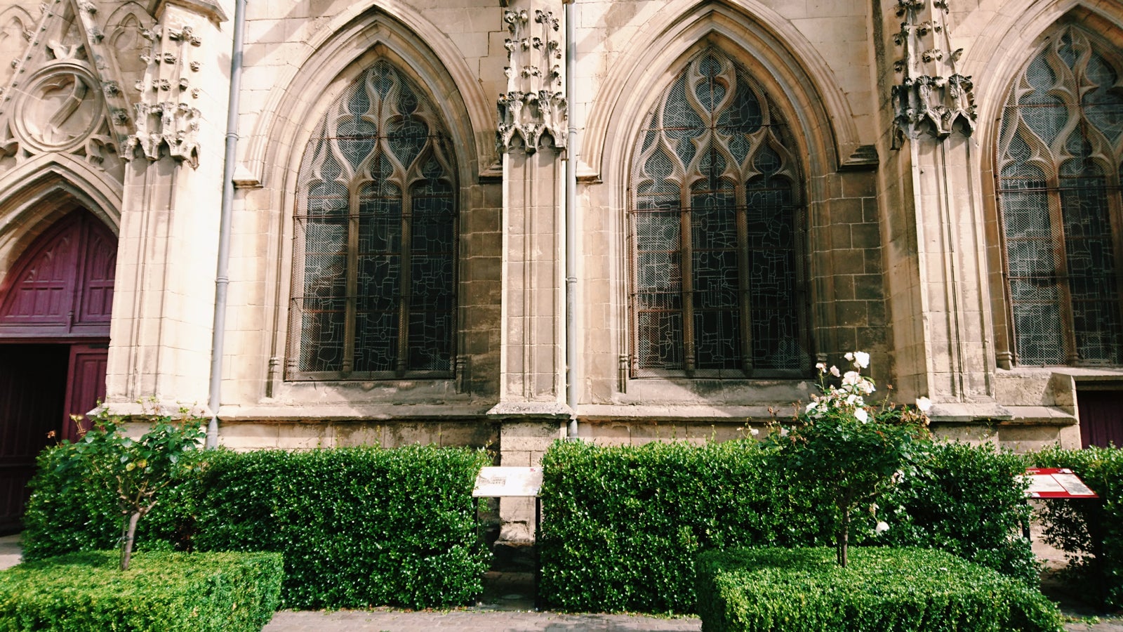 画像提供：所属事務所