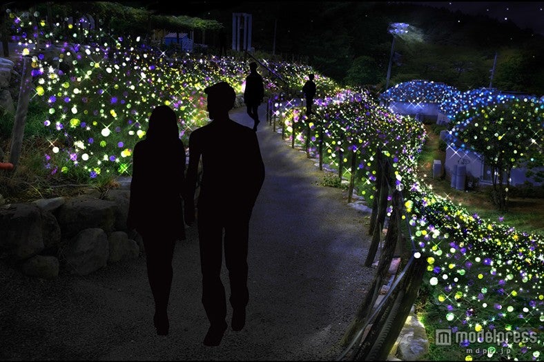 「ヒカリの散歩道」イメージ／画像提供：時之栖