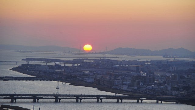 【大阪】まもなく見頃♡ 絶対に逃したくない「年に数日間しか見られない絶景」