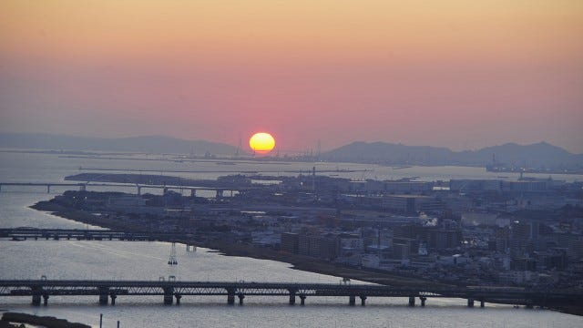 【大阪】まもなく見頃♡