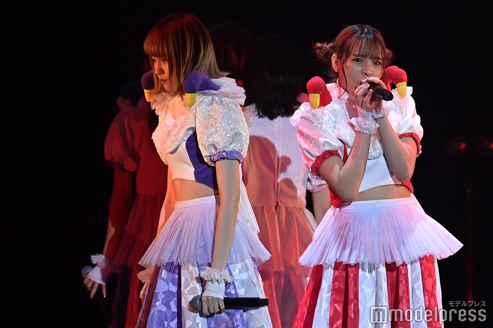 豆柴の大群（C）モデルプレス