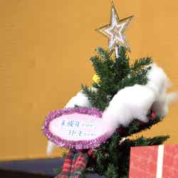 知念侑李が装飾したクリスマスツリー（C）モデルプレス