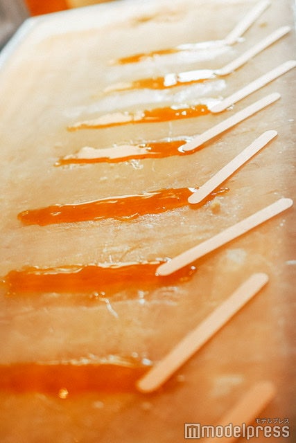 メープルタフィ（C）モデルプレス