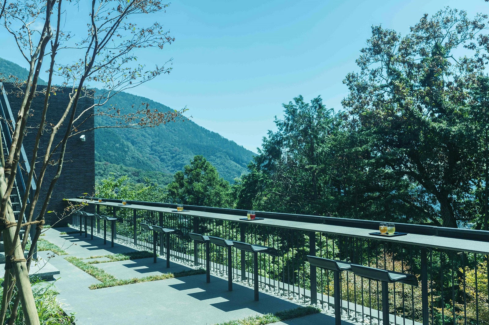 森のテラス／画像提供：オリックス