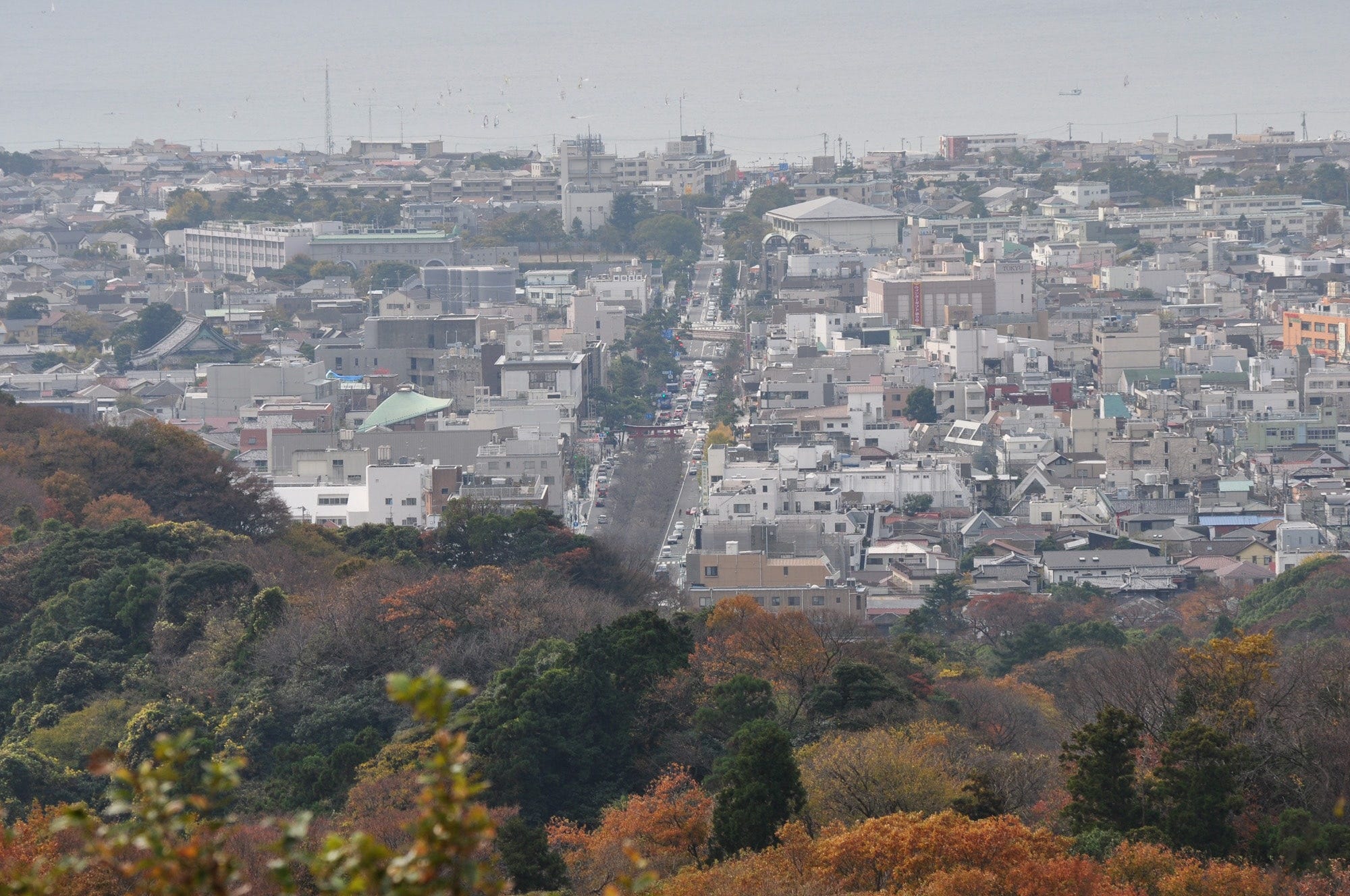 「十王岩の展望」からの眺め