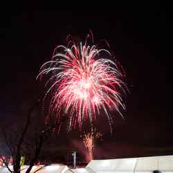 冬花火/画像提供:山形アドビューロ