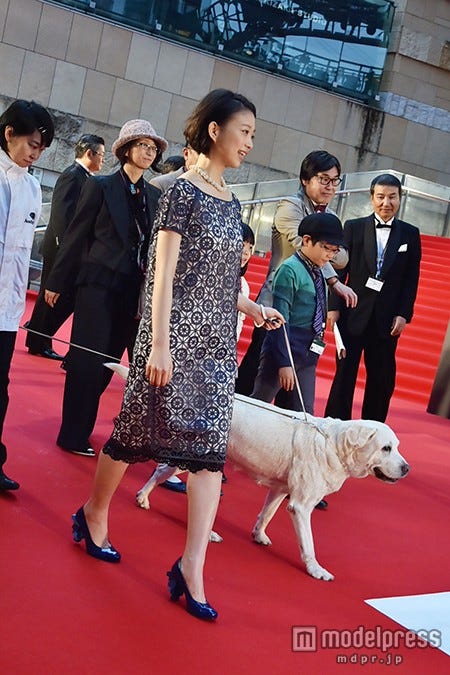 犬とレッドカーペットに登場した森川葵