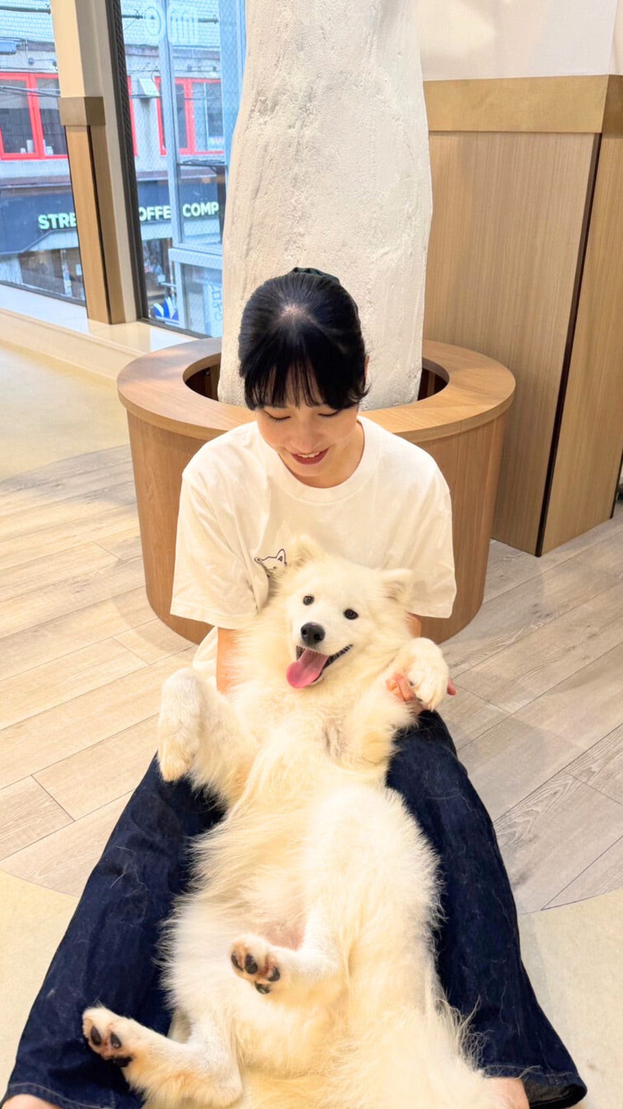 「サモエドカフェmoffu」大阪・心斎橋にオープン “もふもふ天国”でくつろぐ癒しを体験