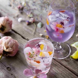 花ごと味わう「フラワーカクテル」って知ってる? フラワーとスパイスを丸ごと楽しむ注目の『ハナバー』