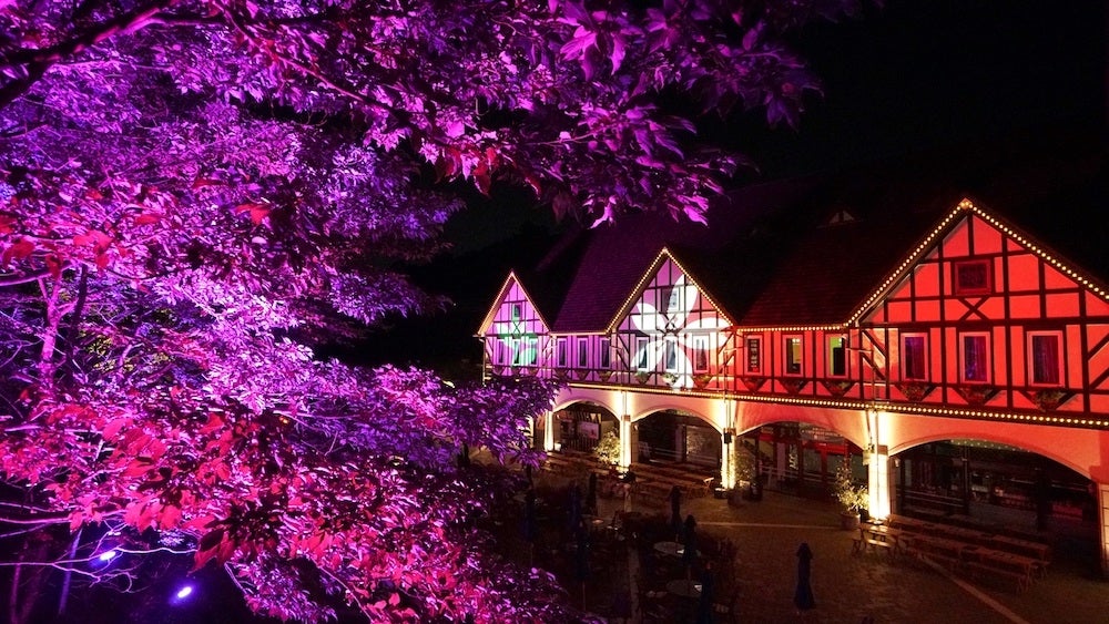 夏限定！非日常感あふれる「光の森」で夕涼み