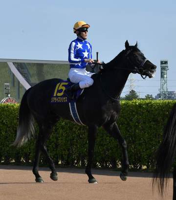 【皐月賞】リアライズシリウス僅かに届かず2着 津村初クラシック制覇逃す ダービーでリベンジ誓った！手塚久師「根性がすごかった」