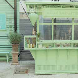 ブランドのイメージカラーのラッドグリーン1色に塗られたティースタンド/画像提供:AsoboLabo