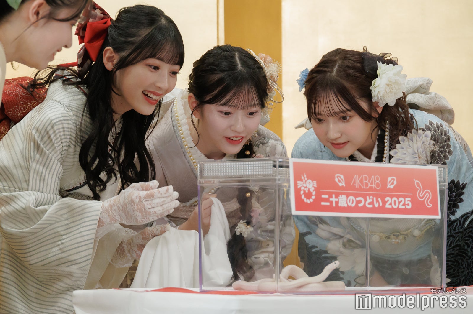 ハクさんをまじまじと見つめる佐藤綺星、八木愛月、鈴木くるみ（C）モデルプレス