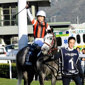 ウインブライトが種牡馬引退へ 19年香港Cなど海外G1.2勝 今後は功労馬として北海道で繫養