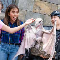 ホグズミード・マジカル・クリーチャーズ・ミート/画像提供:ユニバーサル・スタジオ・ジャパン