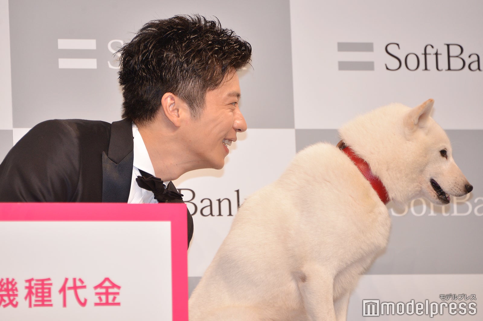 カメラを見ない白戸家のお父さんに「お父さん！」と呼び続ける田中圭（C）モデルプレス