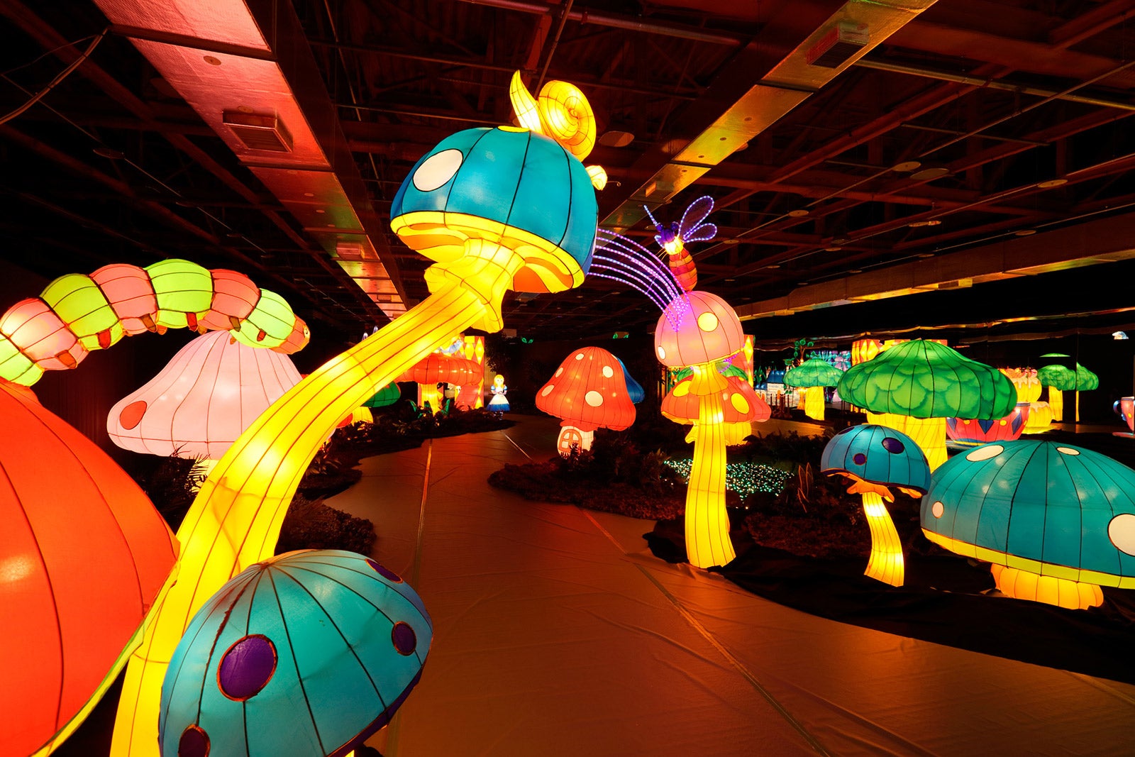 不思議の森／画像提供：芝政観光開発株式会社