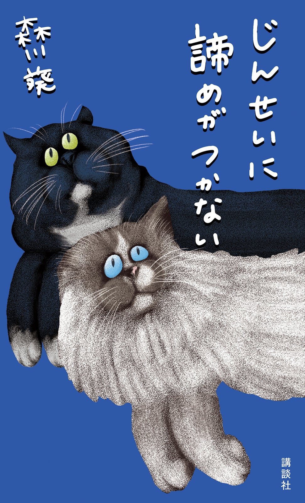 森川葵『じんせいに諦めがつかない』講談社刊