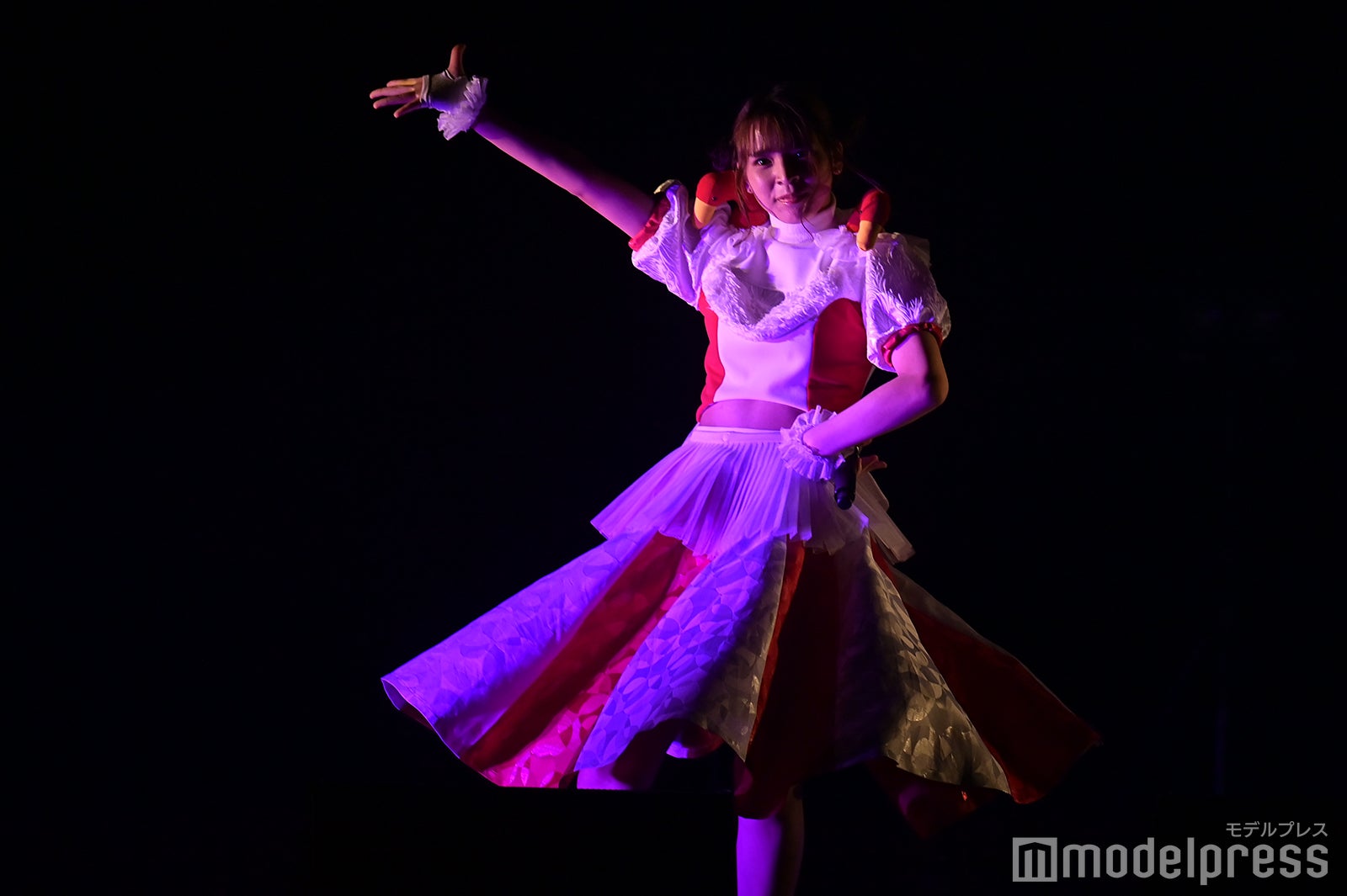 豆柴の大群（C）モデルプレス