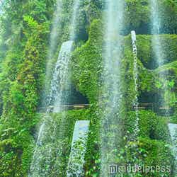 ガーデンズ・バイ・ザ・ベイ(C)モデルプレス