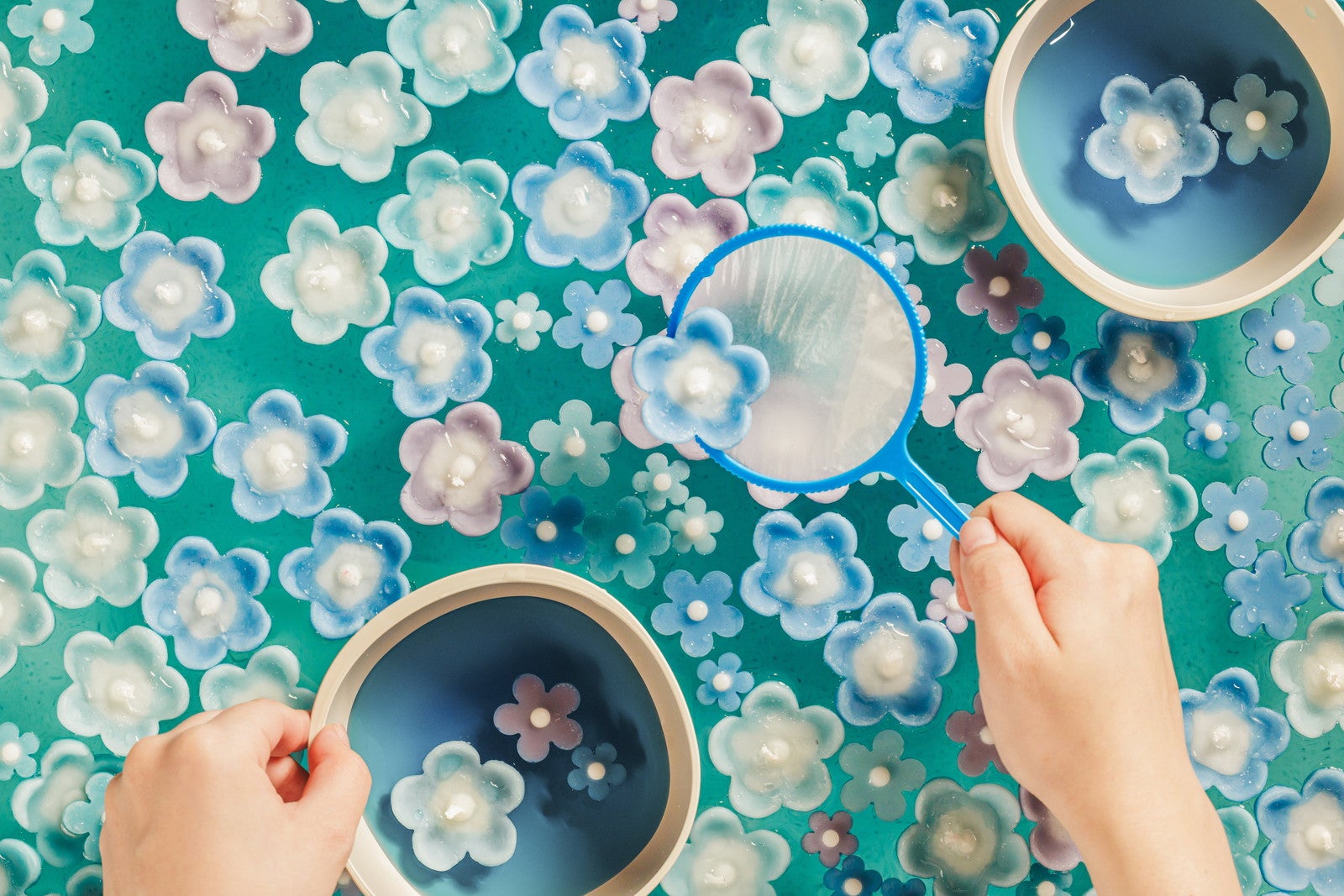 いつでもネモフィラブルーミング／提供画像