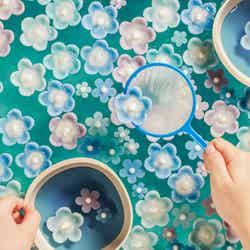 いつでもネモフィラブルーミング/提供画像