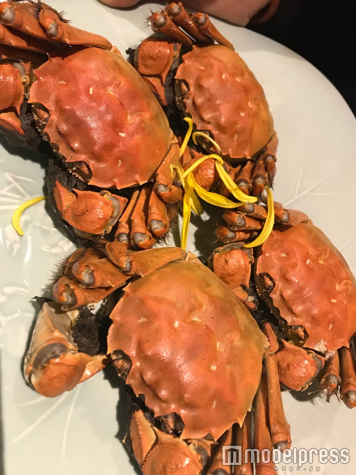 絶品だった上海蟹 （C）モデルプレス