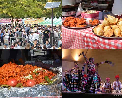 スパイシー料理が勢揃い 日本最大級のインドフェスが開催